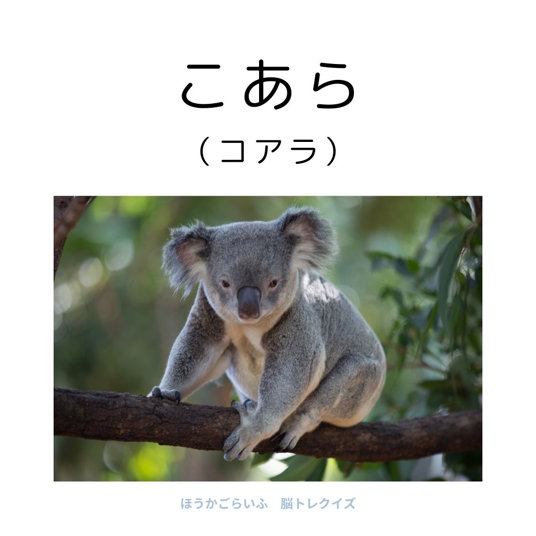 高齢者向け（無料）言葉の並び替えで脳トレしよう！文字（ひらがな）を並び替える簡単なゲーム【動物の名前】健康寿命を延ばす鍵